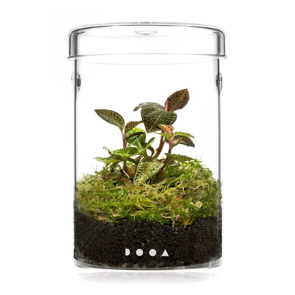 GLASS POT MARU 95 3個セット DOOA Glass Pot MARU 95 – Aqua Forest Aquarium