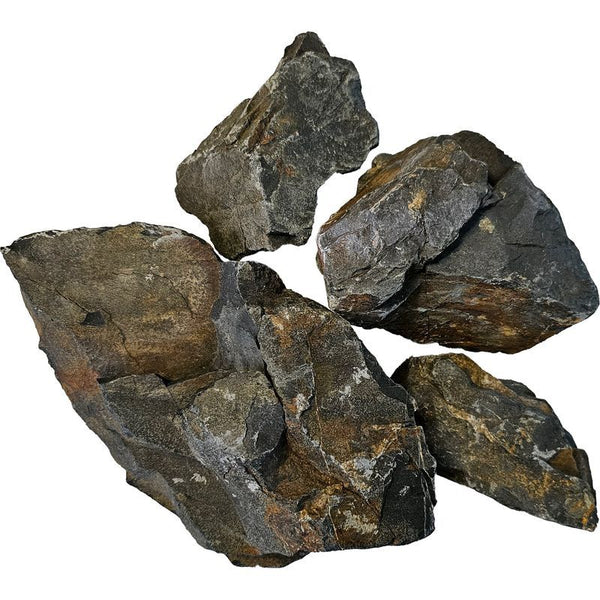 Black Elderly Stone – horizon aquatics