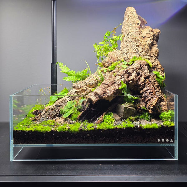 DOOA Neo Glass Air W30xD18xH12 – horizon aquatics