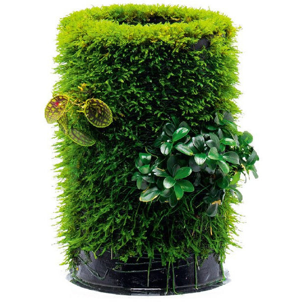 DOOA Terra Base 230 (medium) – horizon aquatics