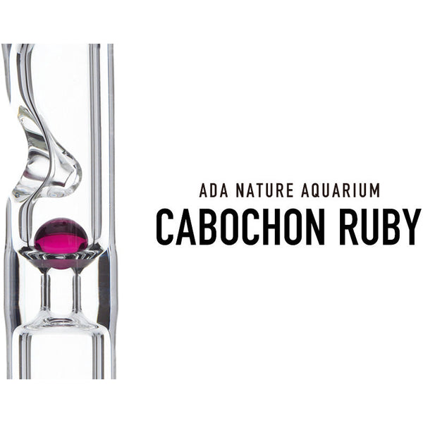 2022-08-26-1085_main_grande.