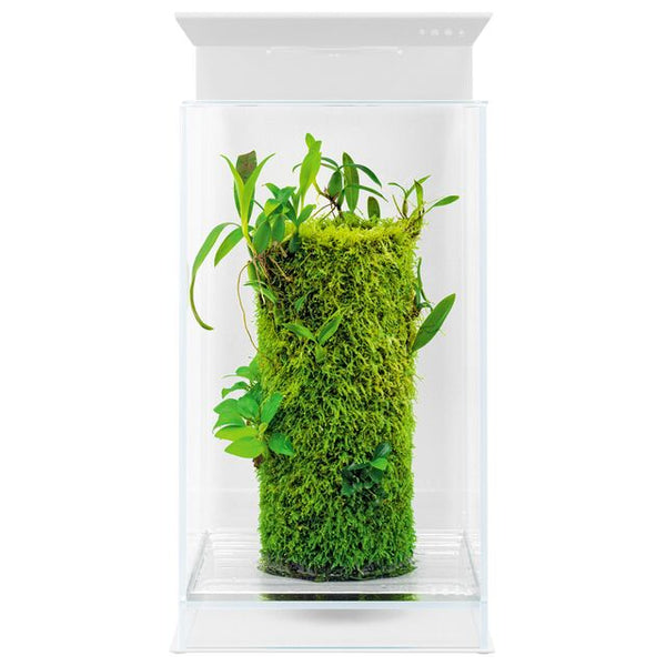 NEO GLASS AIR 2030 マグネットライトスタンド等セット dooa DOOA Magnet Light Stand 20H – horizon aquatics