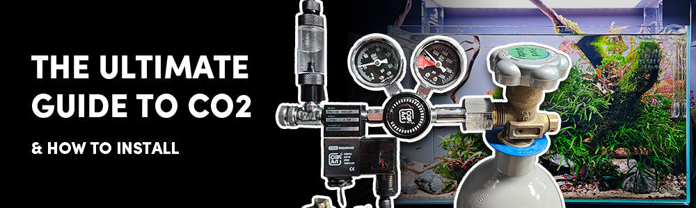 A Guide to using CO2 in your Aquarium – horizon aquatics
