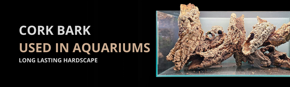 Cork Bark for Paludariums & Aquascaping | Long-Lasting Hardscape