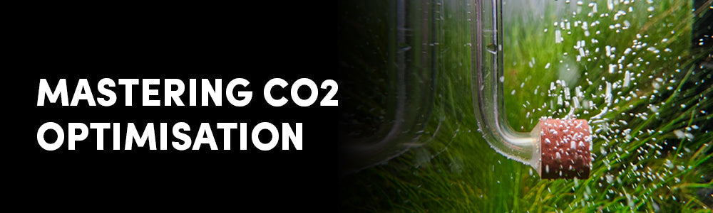 Optimising CO₂ in the Planted Aquarium: Science, Precision, and Balance