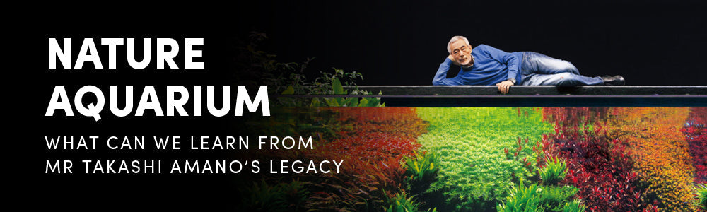 Creating a Nature Aquarium — The Art, Science, and Philosophy of Mr Takashi Amano’s Aquascaping