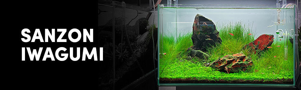 The Art of the 3-Stone Iwagumi