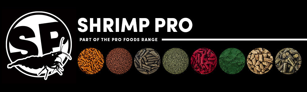 Shrimp Pro Foods: The Best Nutrition for Your Freshwater Shrimp