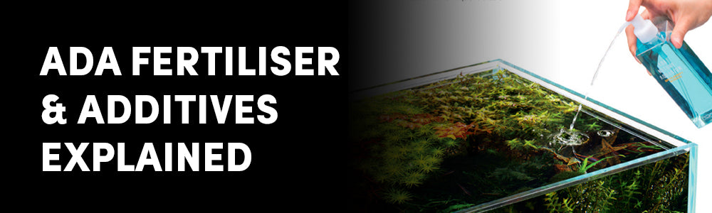 Everything You Need to Know About ADA Fertilisers and Additives: A Complete Guide