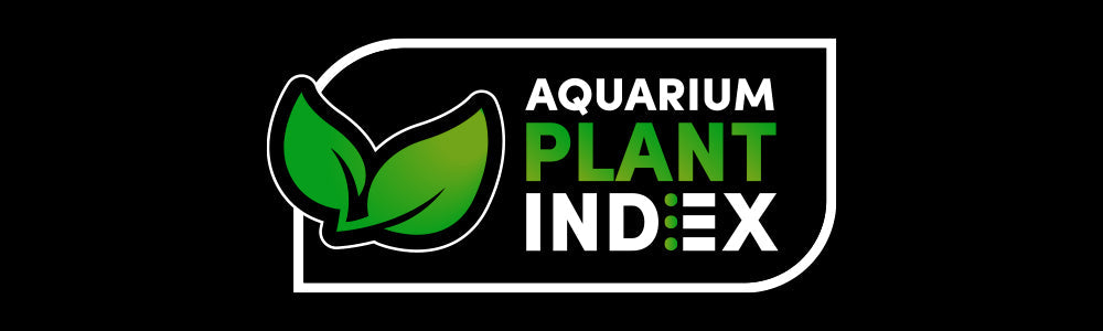 Aquarium Plant Index: The Ultimate Guide to Aquatic Plant Care on YouTube