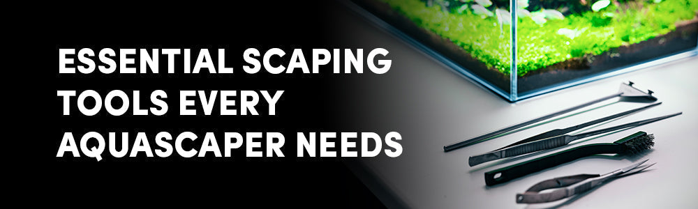 Essential Aquascaping Tools: What Every Aquascaper Needs
