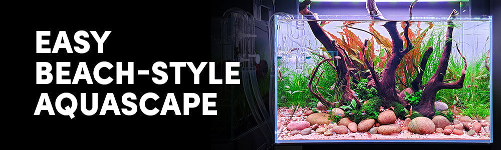 Sawbwa Beach - Island Aquascape