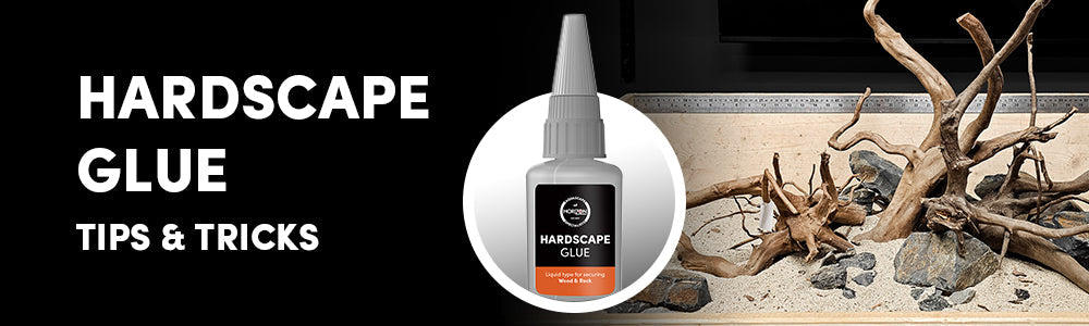 The Best Hardscape Glue for Aquariums