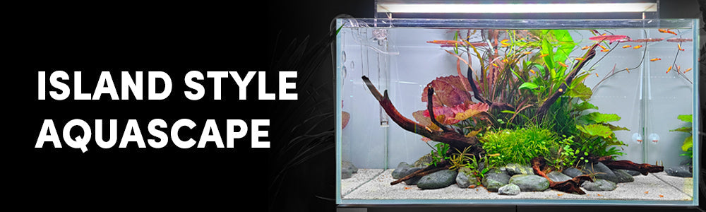 White Cloud Island Aquascape