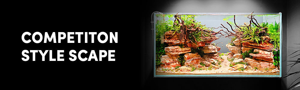 Pavol's Jungle Canyon