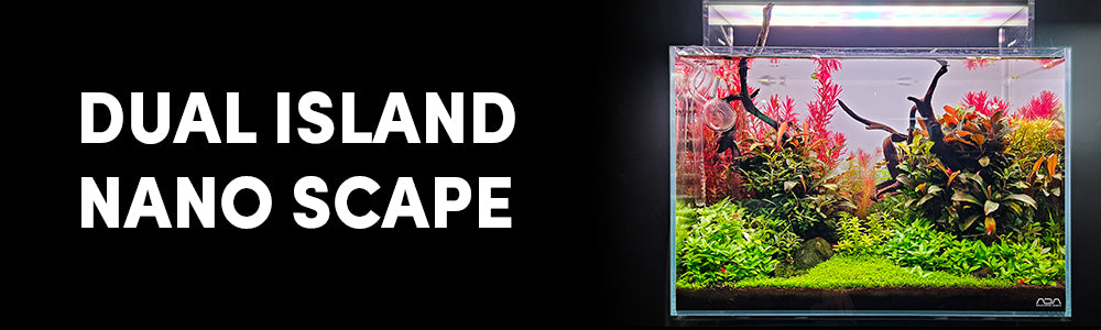 Small Tank, Big Impact: 45P Dual Island Aquascape