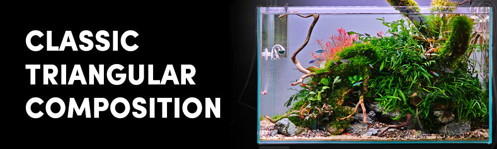 Classic Nature Aquarium - Triangular Composition