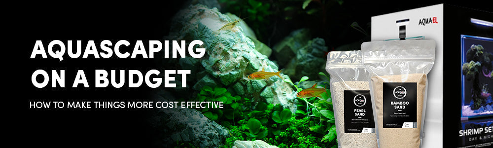Budget Friendly Aquascaping - Tips