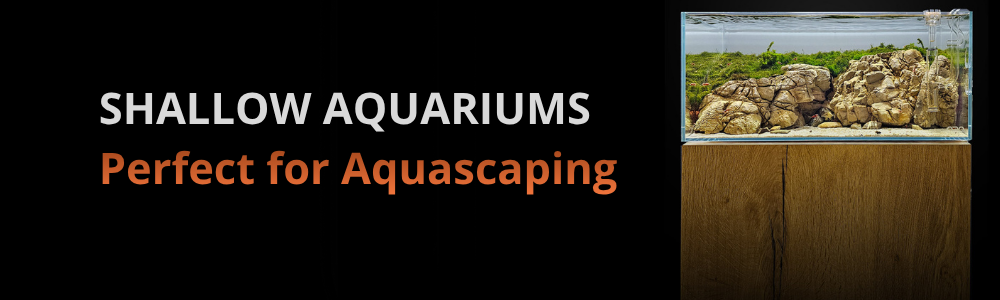 Shallow Aquariums UK | Why They're Perfect for Aquascaping