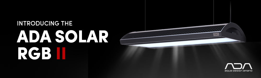 Ada Solar Introducing the NEW ADA Solar RGB 2 – horizon aquatics