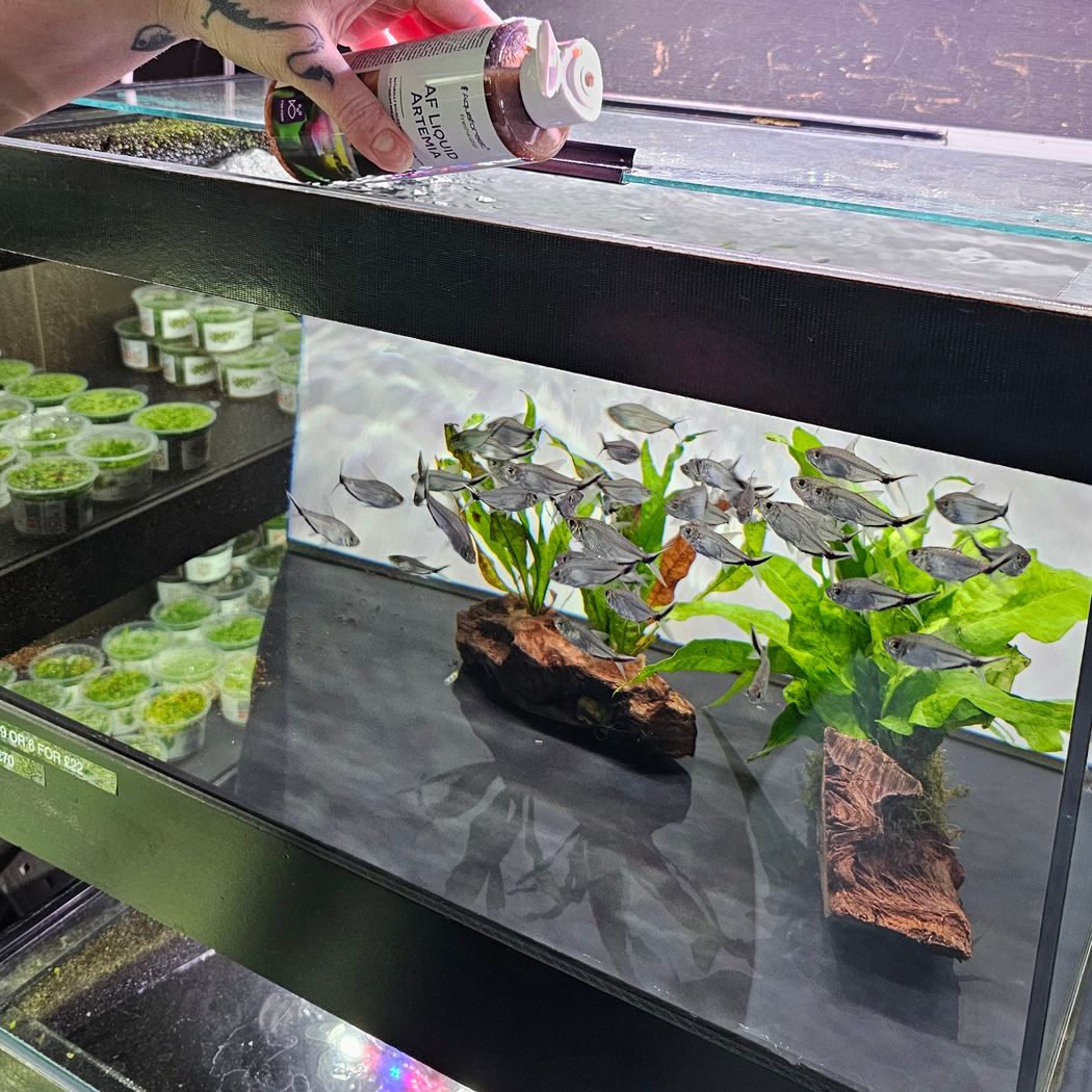 AF Liquid Artemia Freshwater