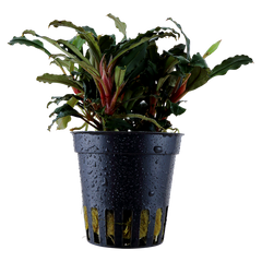 2_7c82cd39-275f-4353-ac26-