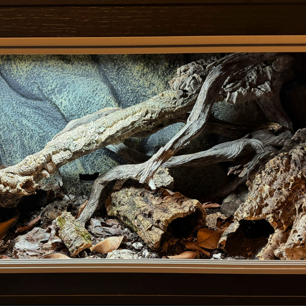 Natural Cork Bark Tubes