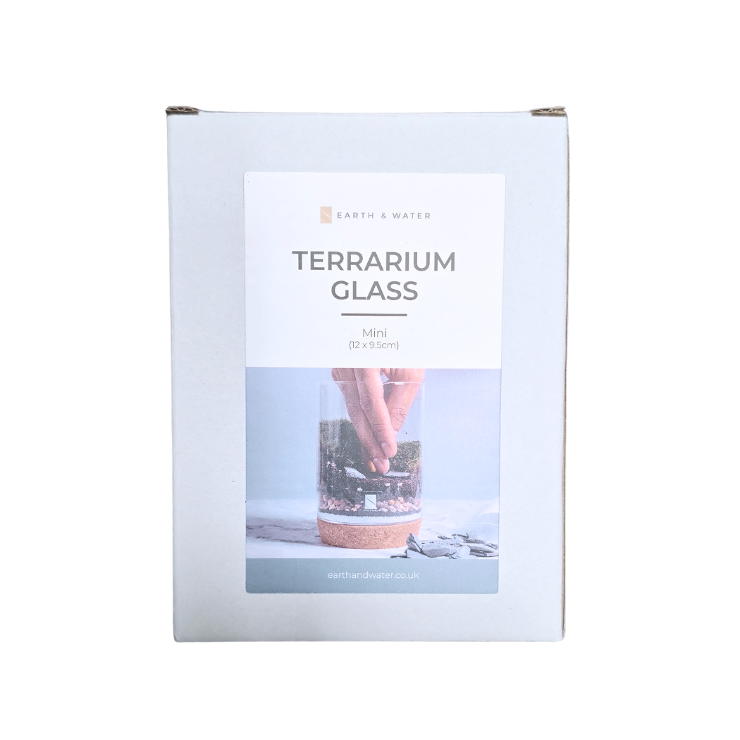 Terrarium Glass (12cm)