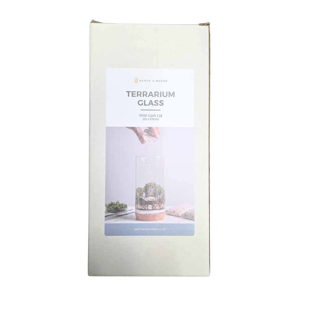 Terrarium Glass (20cm)