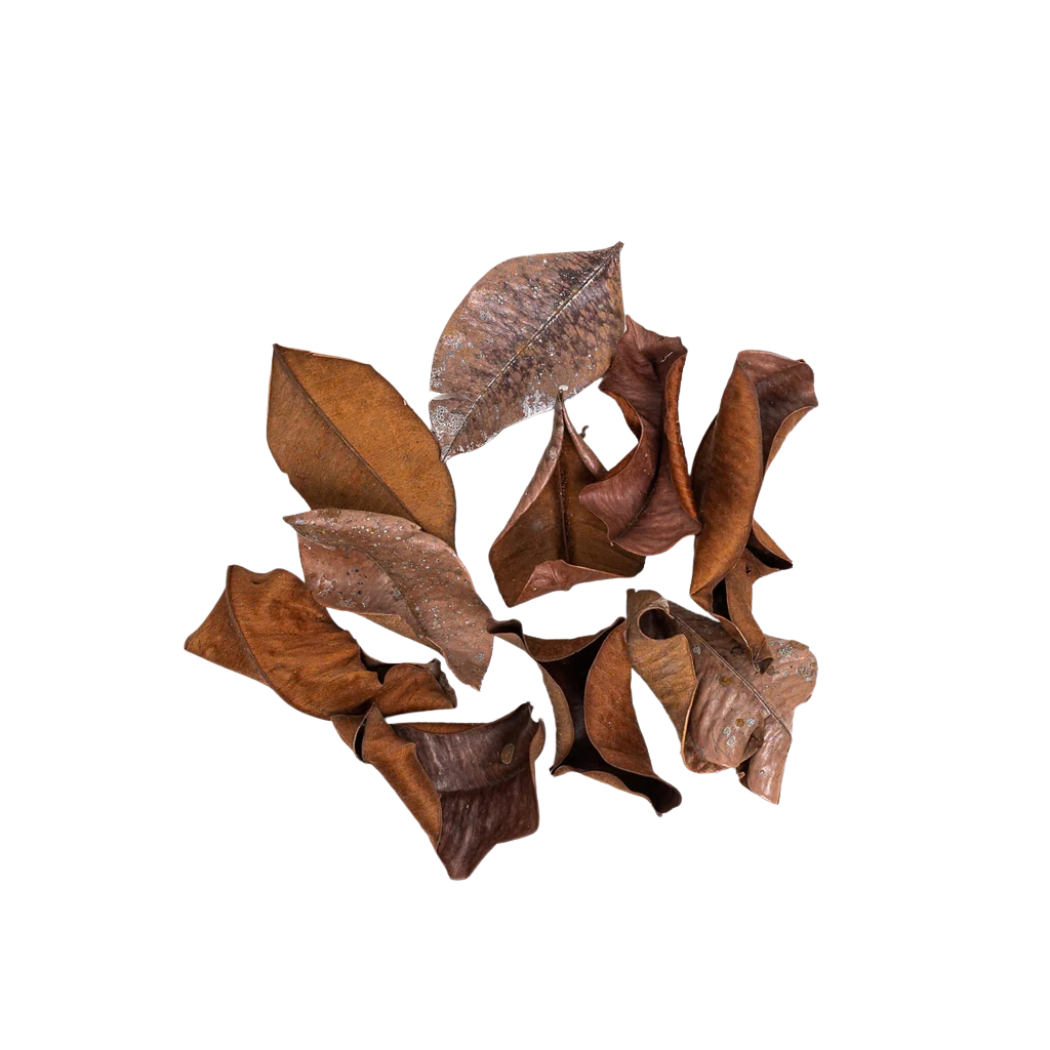 Kiripalu Leaves by Natural collection