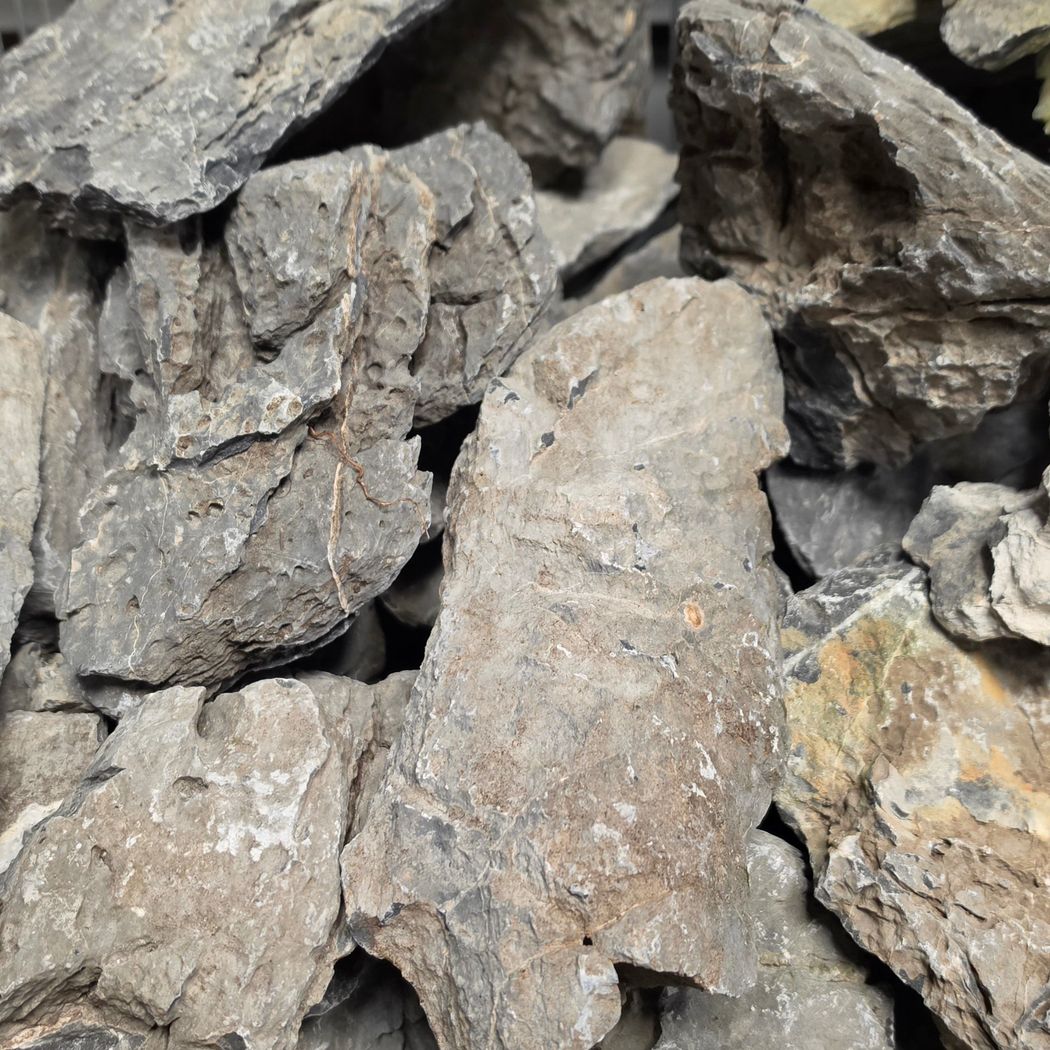 Seiryu stone (ryuoh)