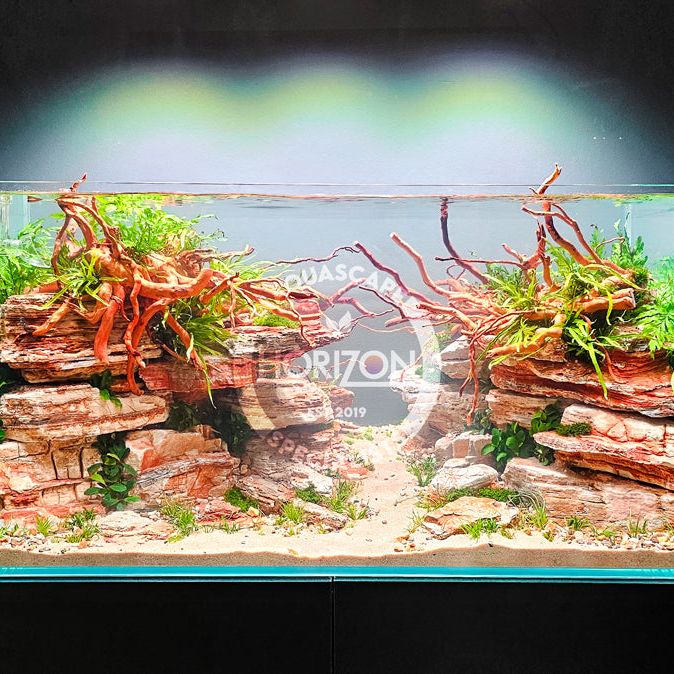 Redmoor Root Wood - 30-40cm - M