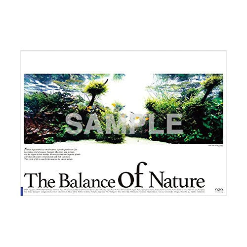 ADA Balance of Nature Poster (B. Melanotaenia boesemani)