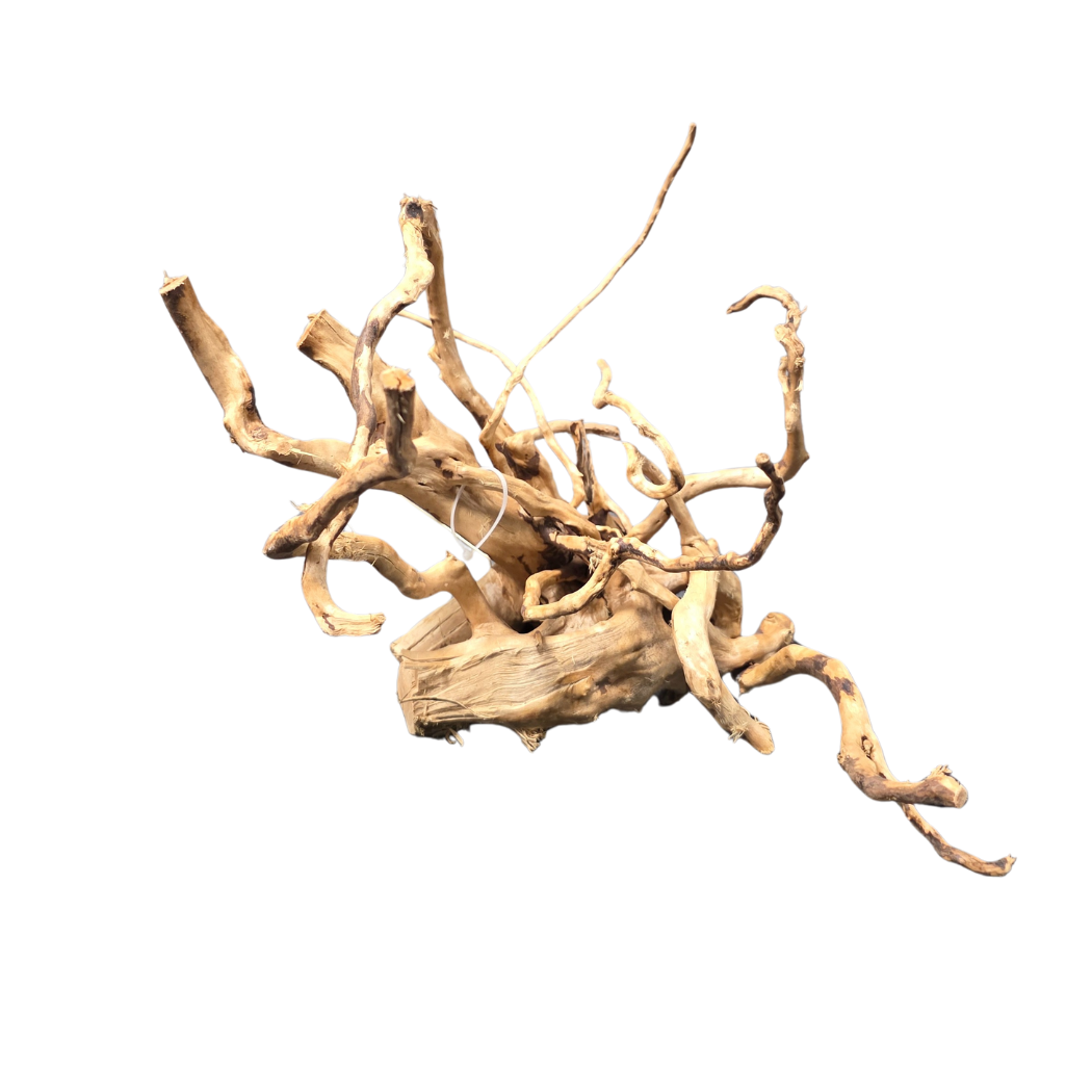 Redmoor Root Wood - 30-40cm - M
