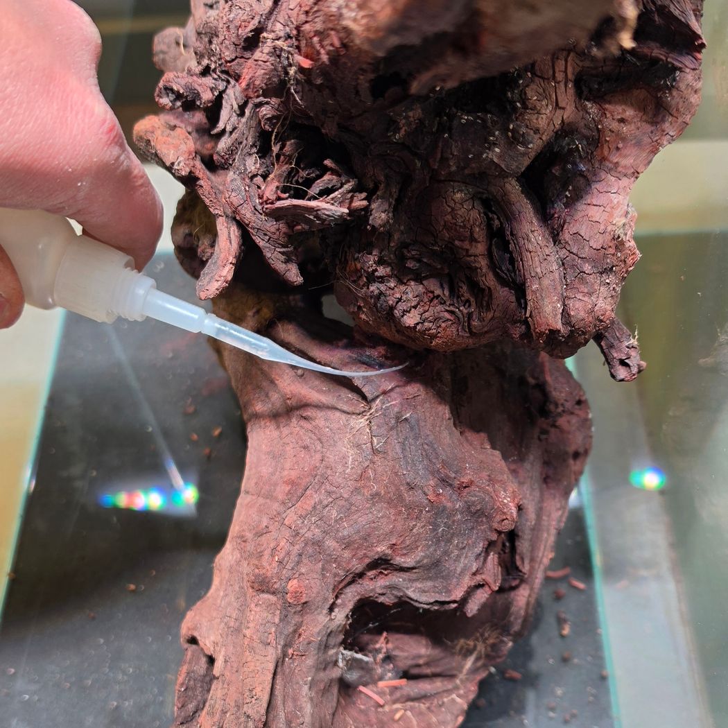 Precision Glue Tips