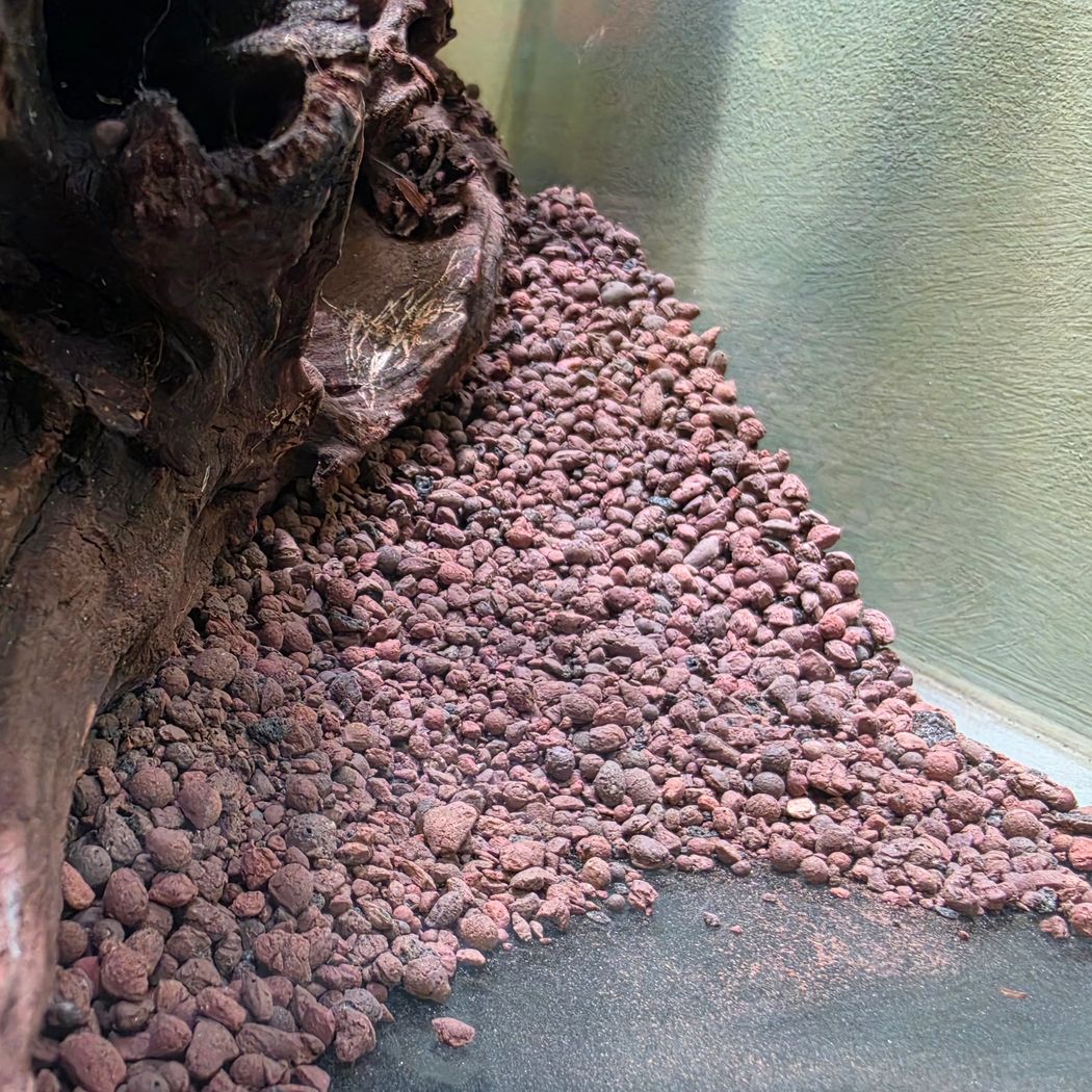 Akadama Soil