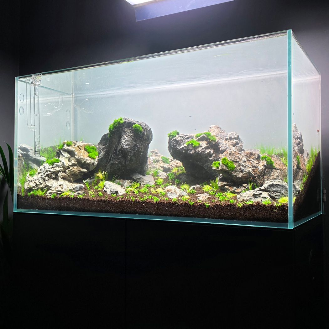 ADA Cube Garden 90P (900mm) – horizon aquatics