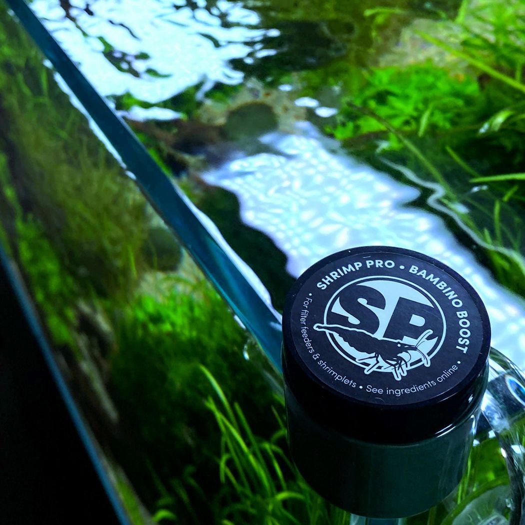 Shrimp Pro - Bambino Boost - 30g