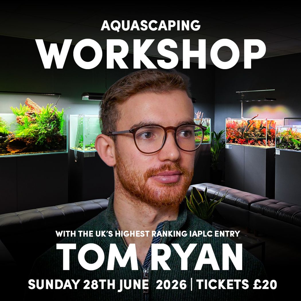 TOM RYAN UK'S Highest IAPLC Entry - Sunday 28th June 2026