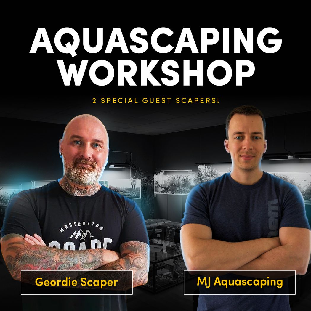 MJ Aquascaping & Geordie Scaper Workshop 13th December 2025