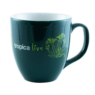 Tropica Live Mug 'Microsorum windelov'