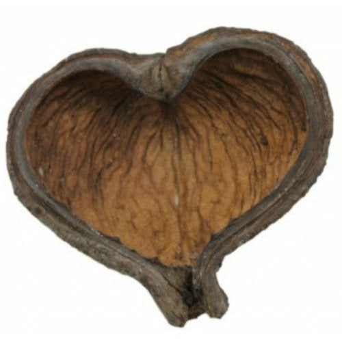 Thelambu Pods