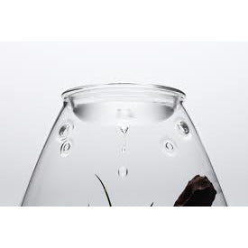 DOOA Glass Pot Shizuku