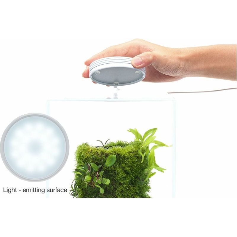 DOOA Magnet Light G