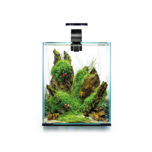 Aquael Smart Shrimp Set D+N 30L Black (290mm)